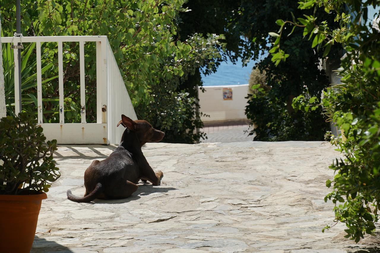 Hotel Galini Mare Agia Galini Exteriér fotografie